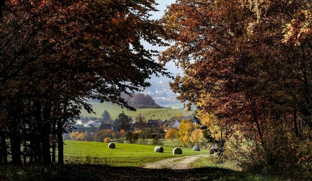 Ferienwohnung Alpaka Blick Schneppenbach 외부 사진