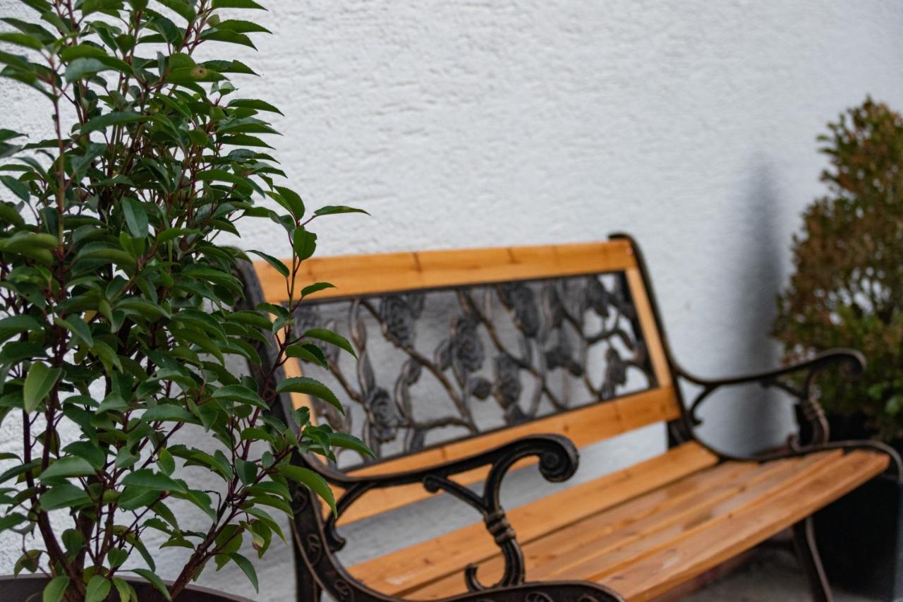 Ferienwohnung Alpaka Blick Schneppenbach 외부 사진