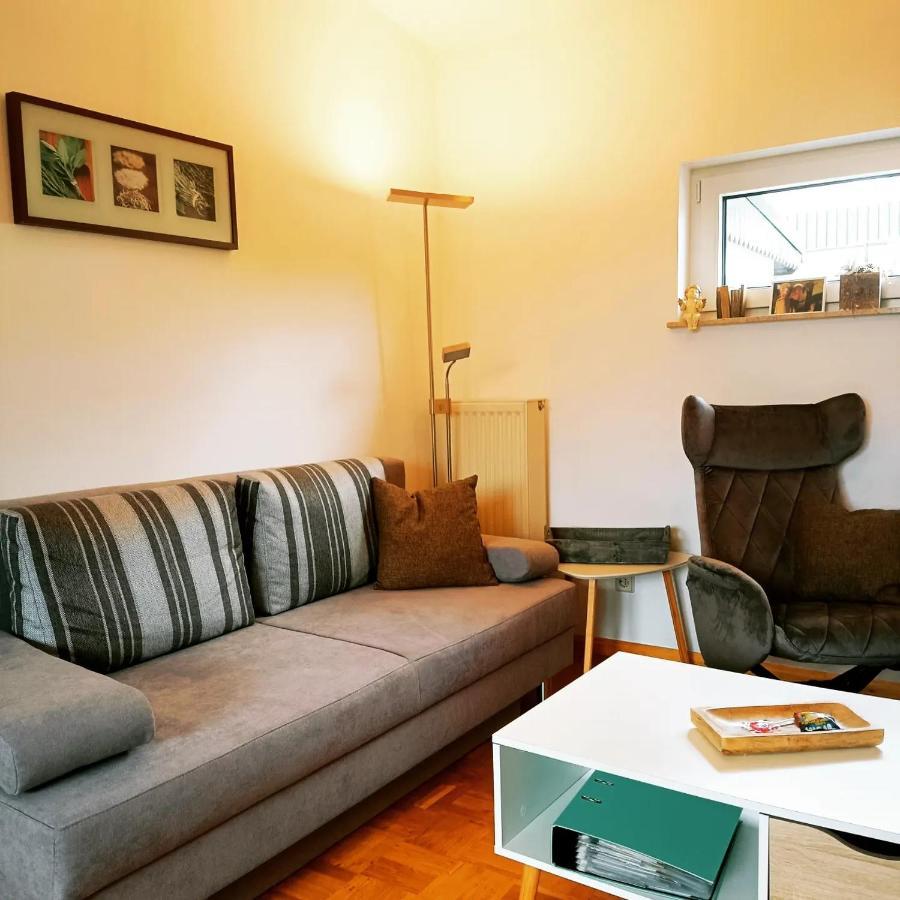 Ferienwohnung Alpaka Blick Schneppenbach 외부 사진